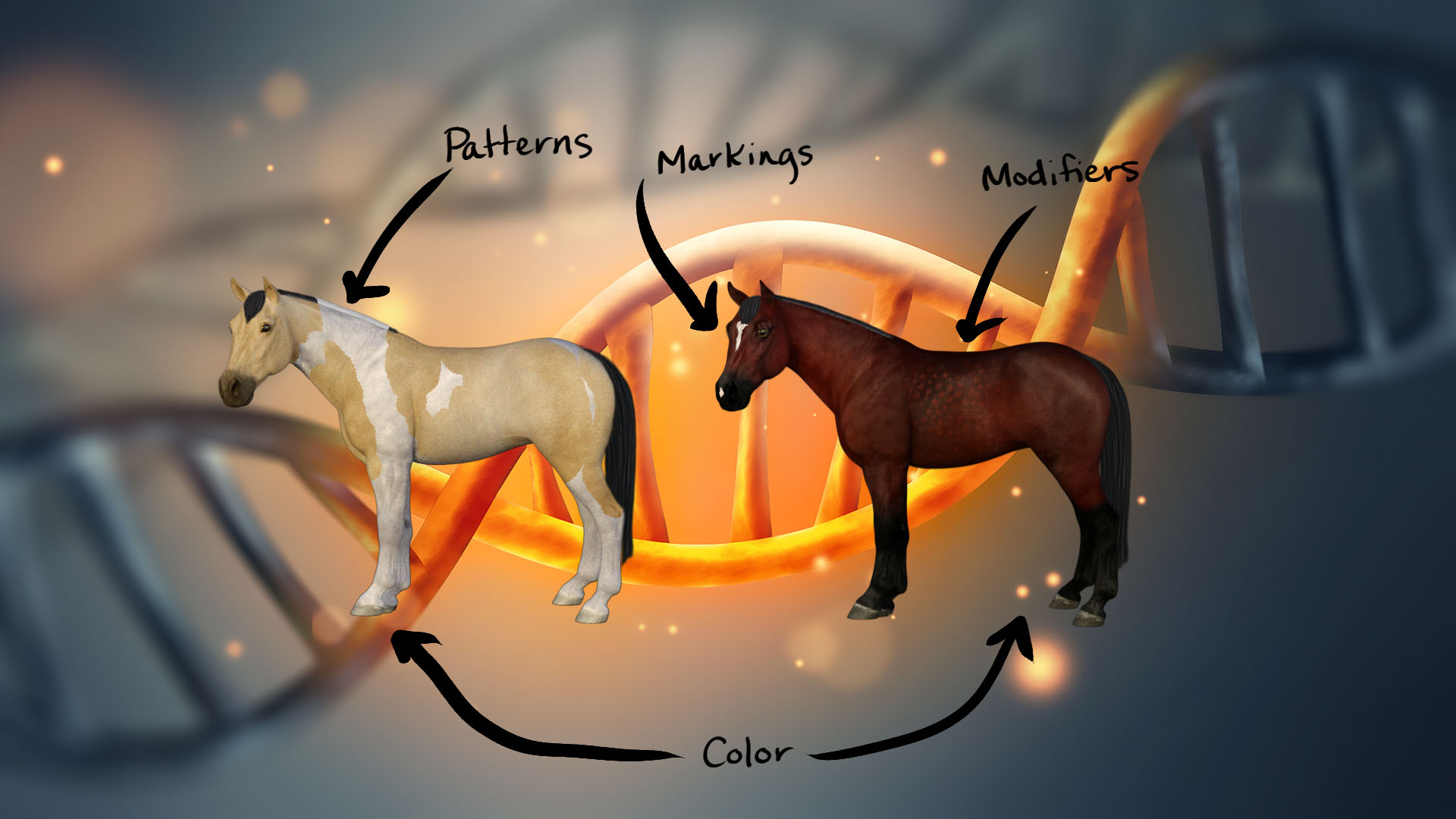 Examples of color, pattern, and marking