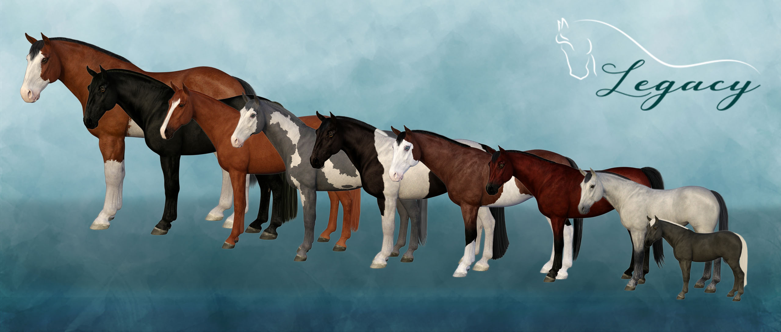 Various Horses of different body types on teal watercolor backdrop