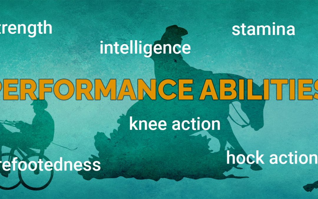 Performance Abilities Banner