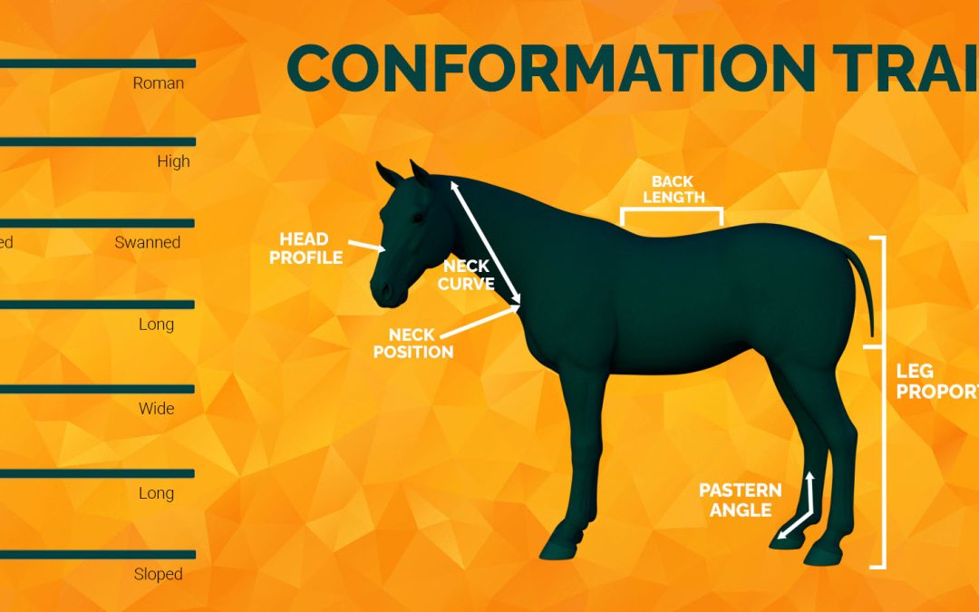 Conformation In Legacy