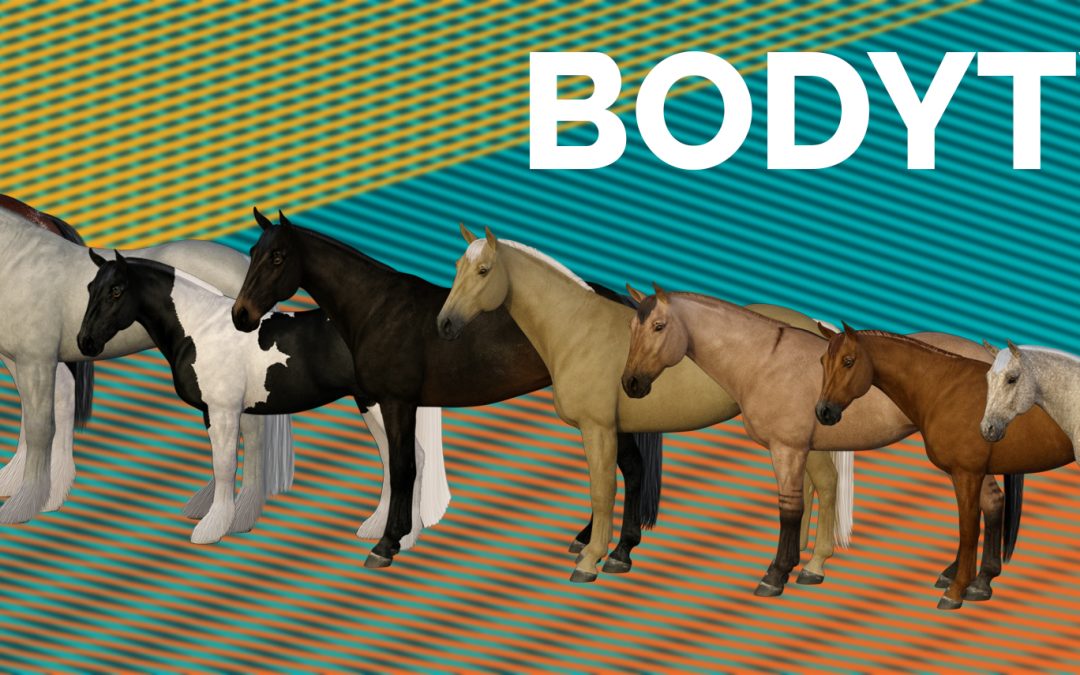 Nine body type examples, draft, baroque, cob, warmblood, saddle, stock, light, pony, and mini