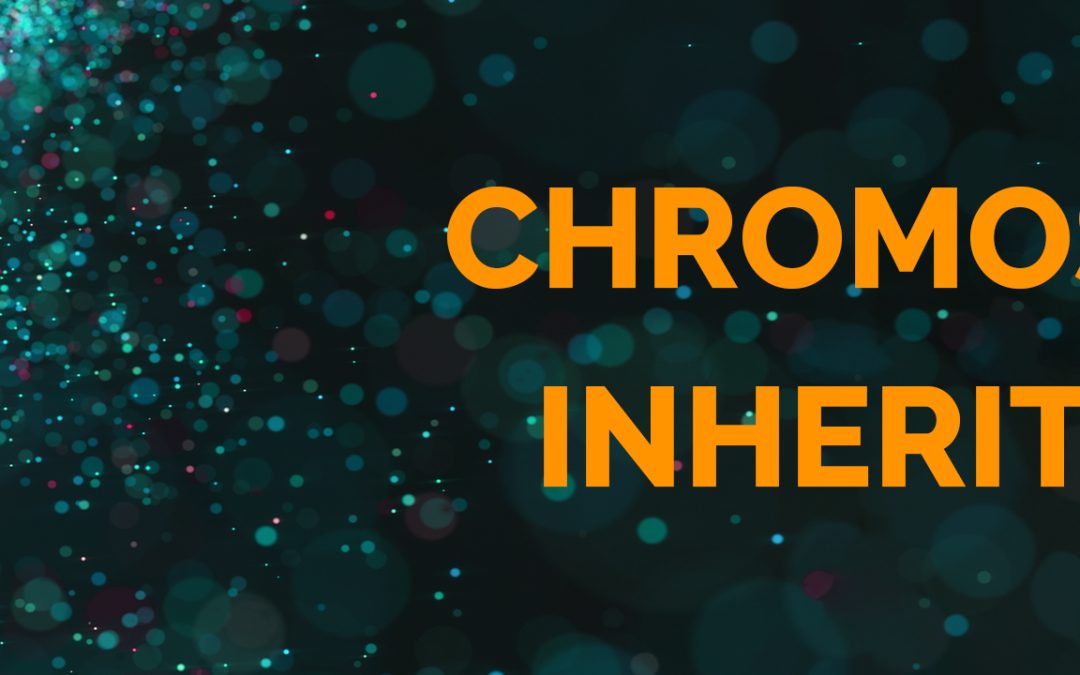 DNA Strand with text Chromosomal Inheritance