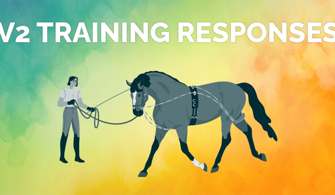 V2 Training Responses