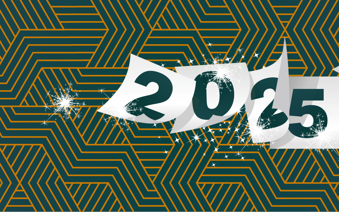 2024 in Review & Plans for 2025