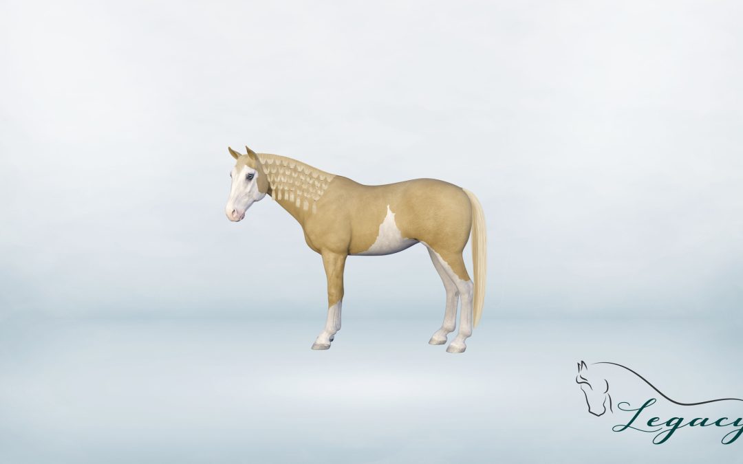 Custom Manes & Tails